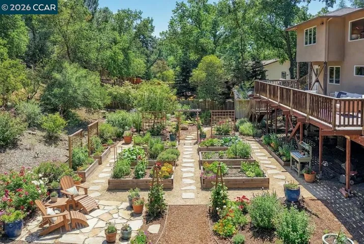 Virtual Garden