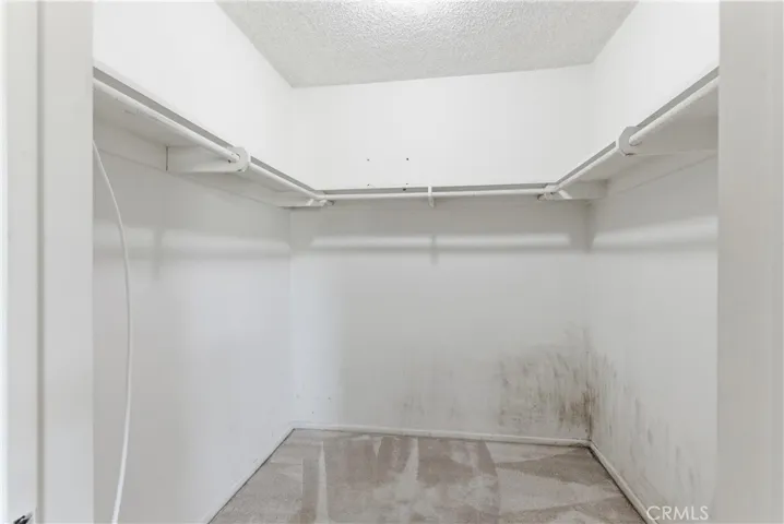 PRIMARY BEDROOM WALK-IN CLOSET