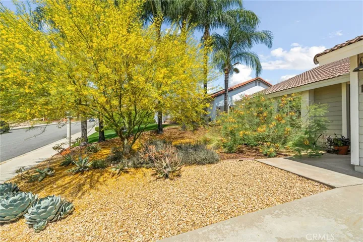 Landscaped Front Yard