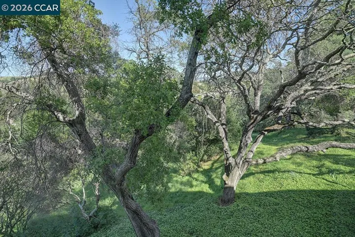 3711 Terra Granada Dr 3b, Walnut Creek, California 94595