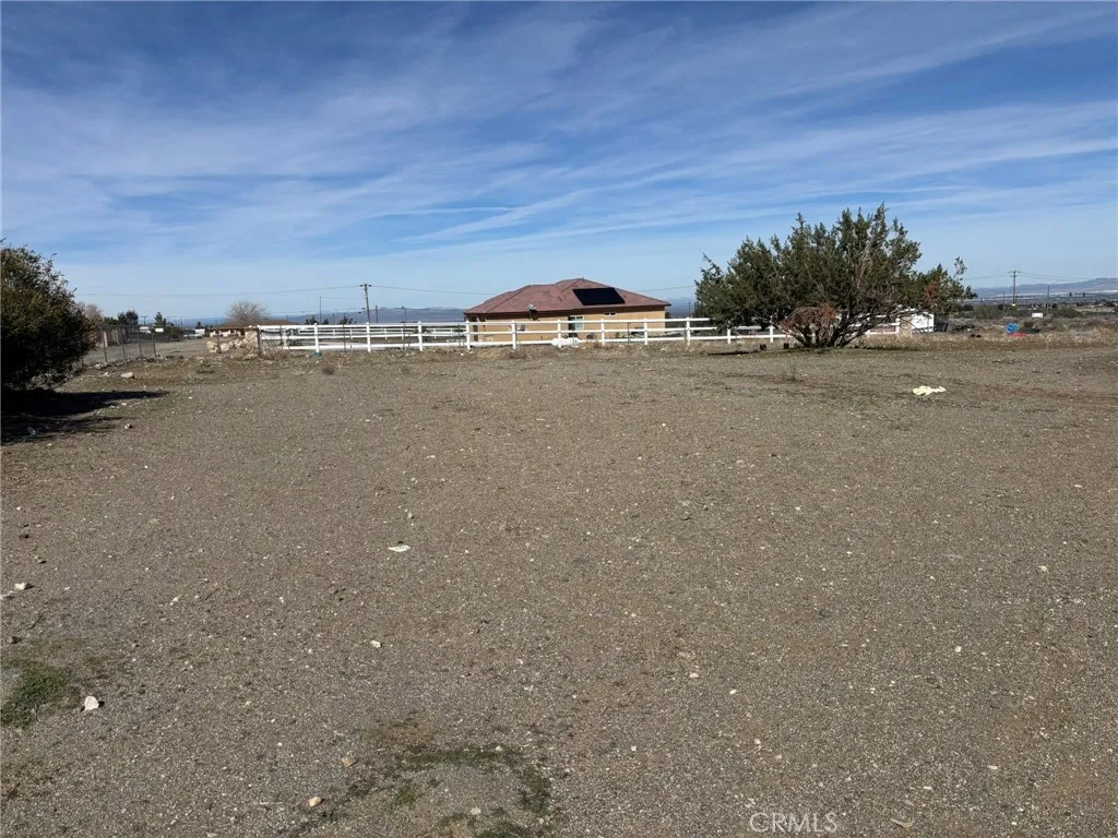 SIDE YARD