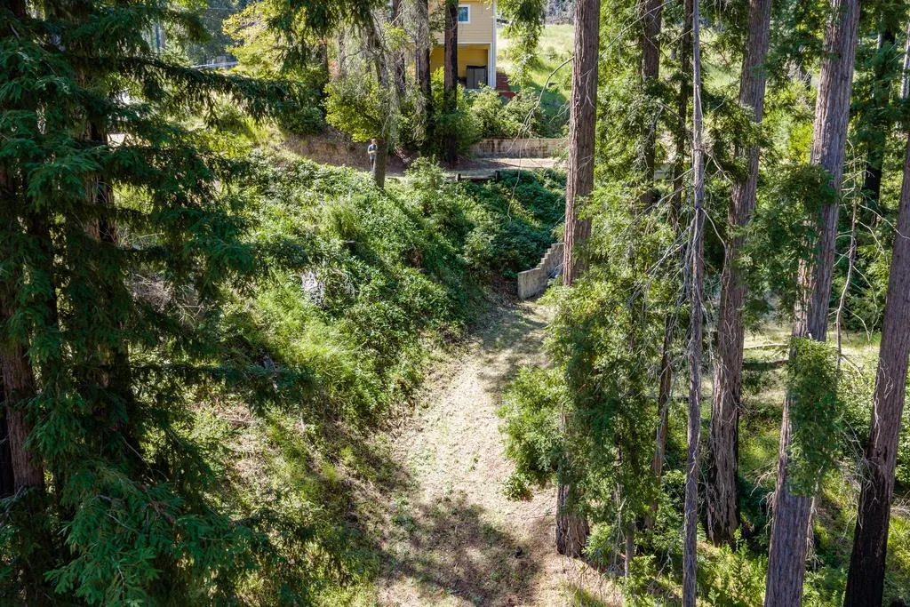 785 Summit Drive, Boulder Creek, California 95006 — photo 5