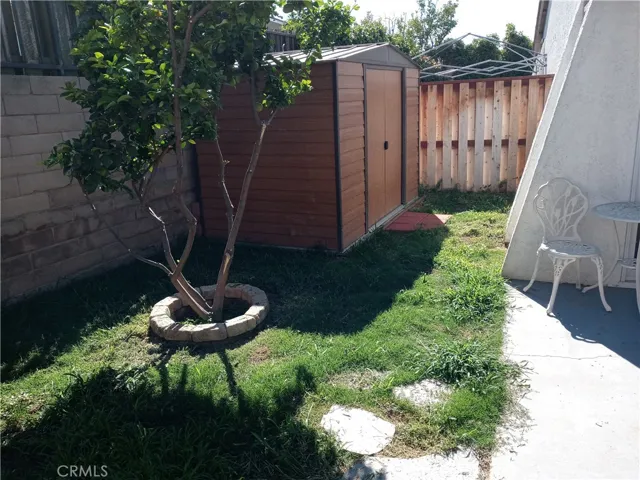 Backyard Fruit Tree & Shed
