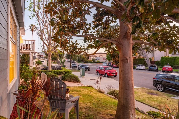 Wonderful neighborhood