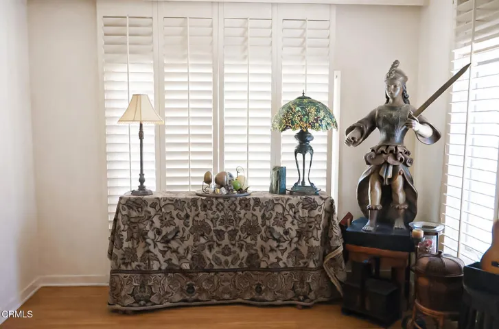 Living Room windows