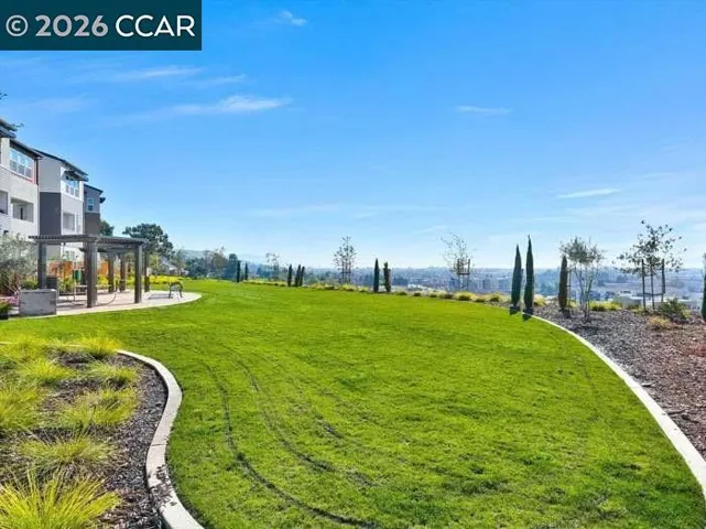 Picnic Area With Views!