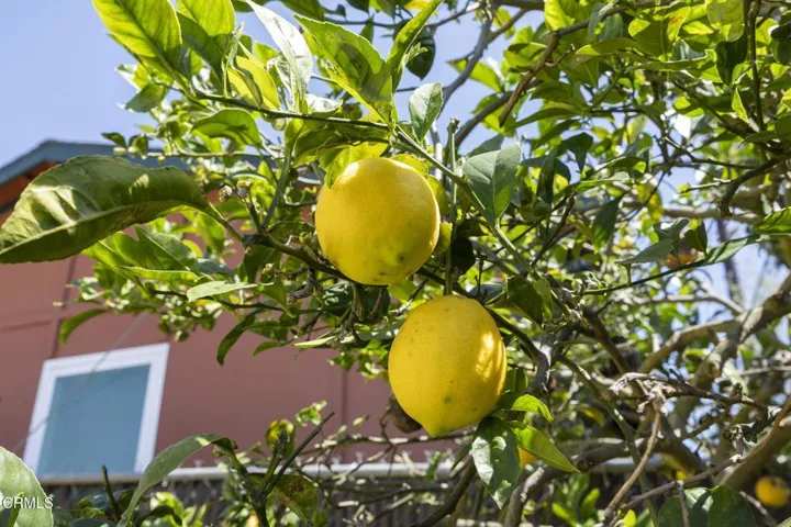 33-web-or-mls-SeaoroStudios-3662LomaVist