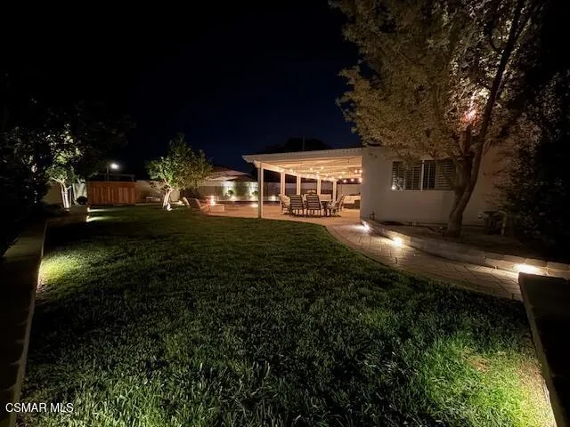 Night shots