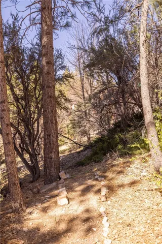 1109 Brookside, Fawnskin, California 92333