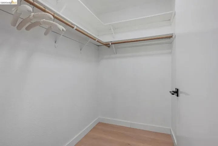 walk in closet with light wood finished floors