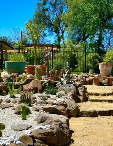 Provided by Seller, one Cactus garden in bloom