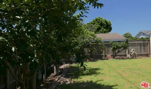 Backyard & fruit trees