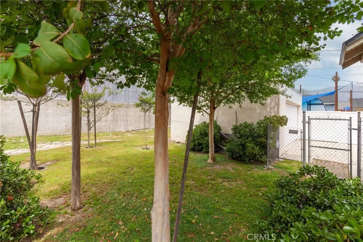 Backyard