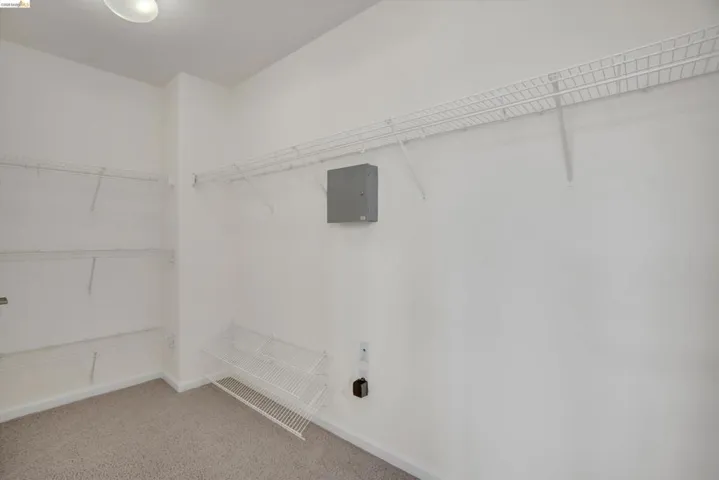 Walk in closet featuring light colored carpet