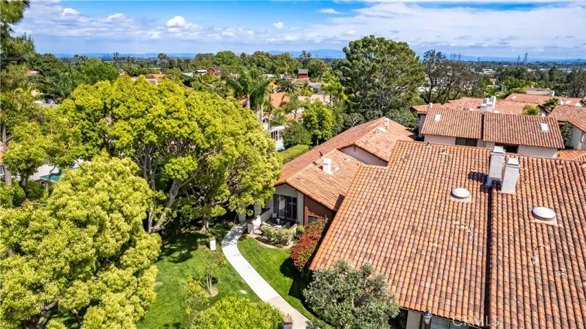 TREE-TOP VIEWS