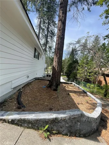 Side of house by driveway