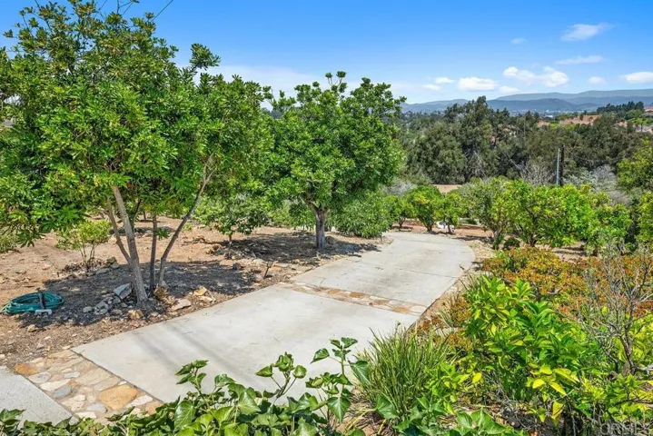 1629 Via Allondra, San Marcos, California 92078