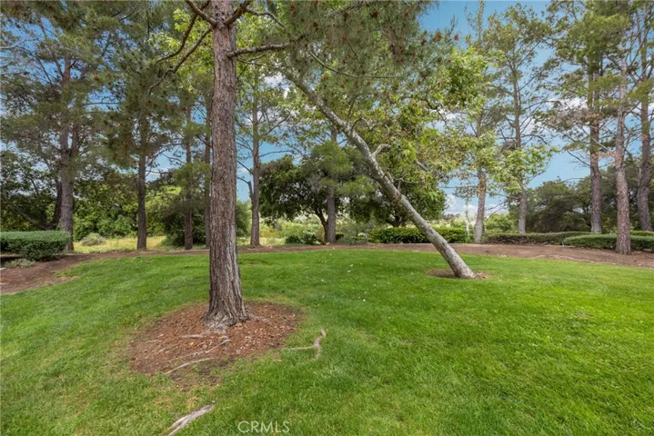27 Timbre, Rancho Santa Margarita, California 92688