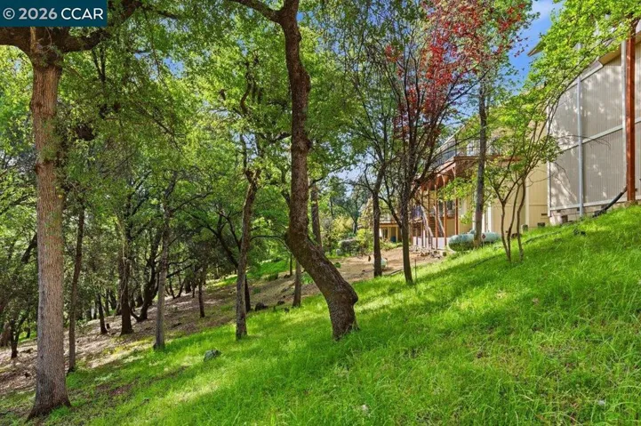 Back of House