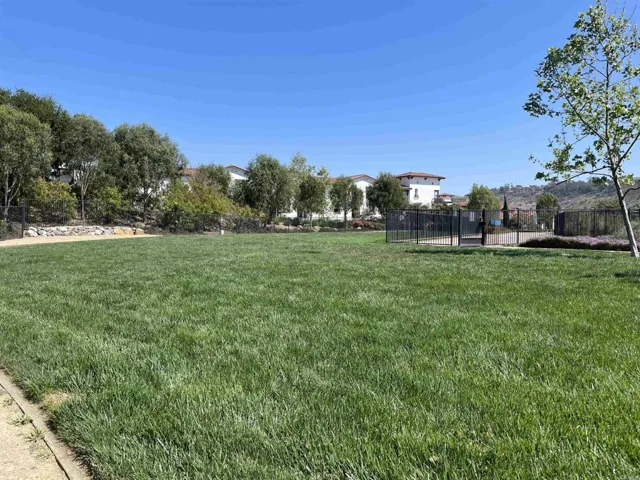 Fenced Dog Park
