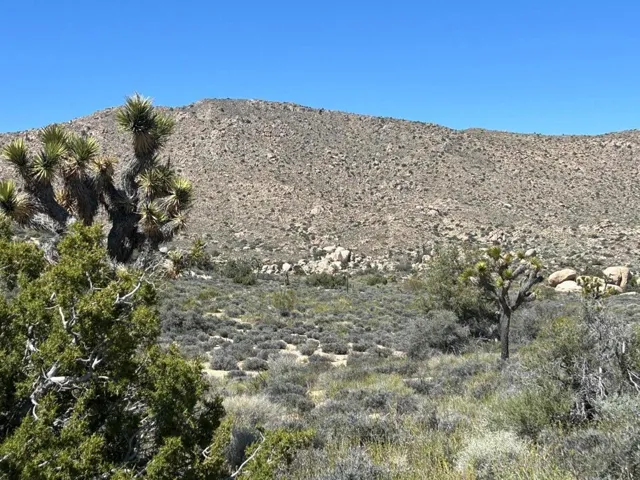 Hondo Main 11