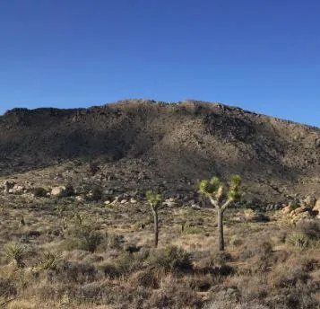 Hondo Pic 4-5-25
