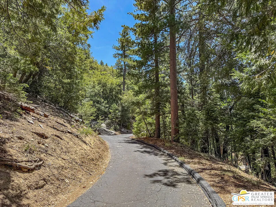 23971 Skyview Drive, Idyllwild, California 92549 — photo 4
