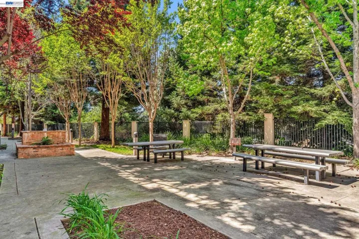 Picnic Park