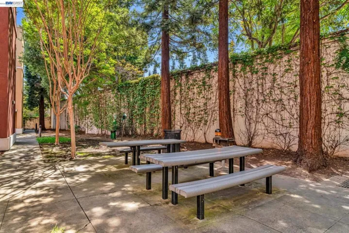 Picnic Park