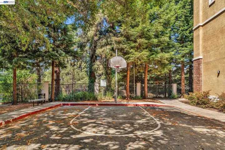 Basketball Court