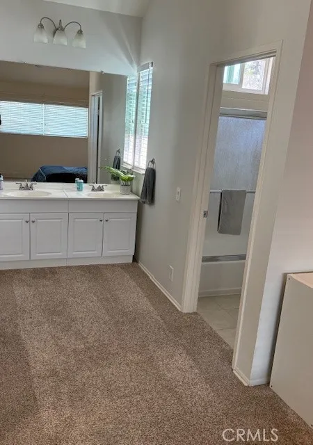 Bathroom area