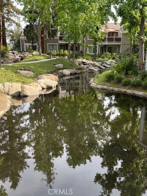 Association pond