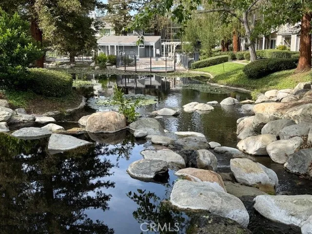 Association streams and pond