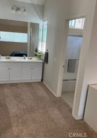 Bathroom area