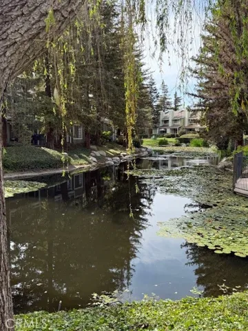 association streams and ponds