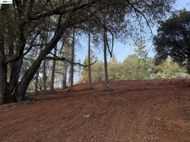 4700 Kelley Pl, Garden Valley, California 95633