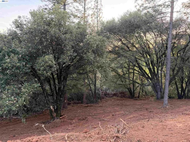 4700 Kelley Pl, Garden Valley, California 95633