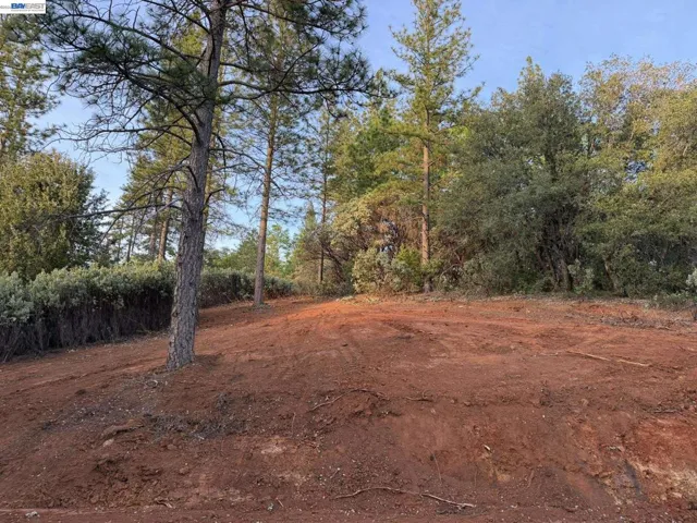 4700 Kelley Pl, Garden Valley, California 95633