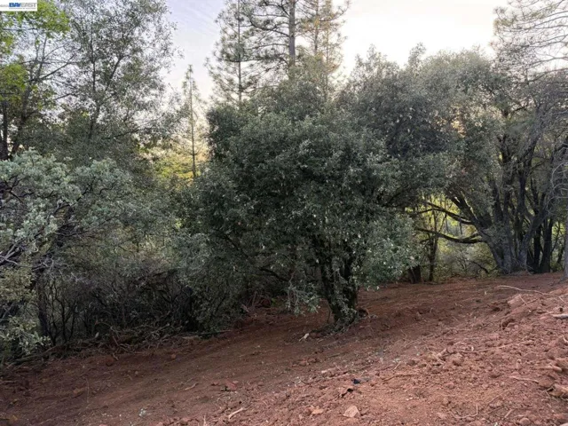 4700 Kelley Pl, Garden Valley, California 95633