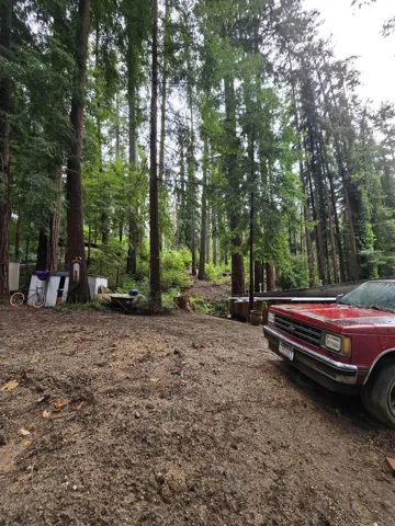 This land is part of the sale, including the parking spot of the traven trailer, red truck and sheds