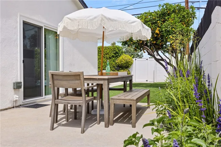 BBQ or evening dinners