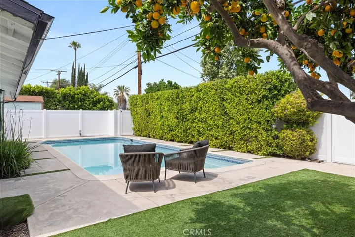 Delightful Pool and back yard