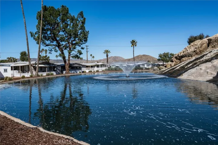 THERE ARE FISH IN THE LAKES