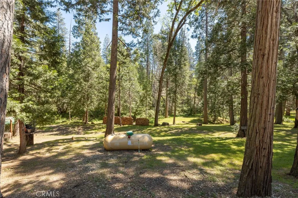 propane tank and large split wood piles