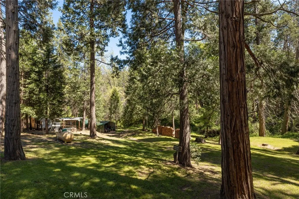 view towards chicken coop and carports