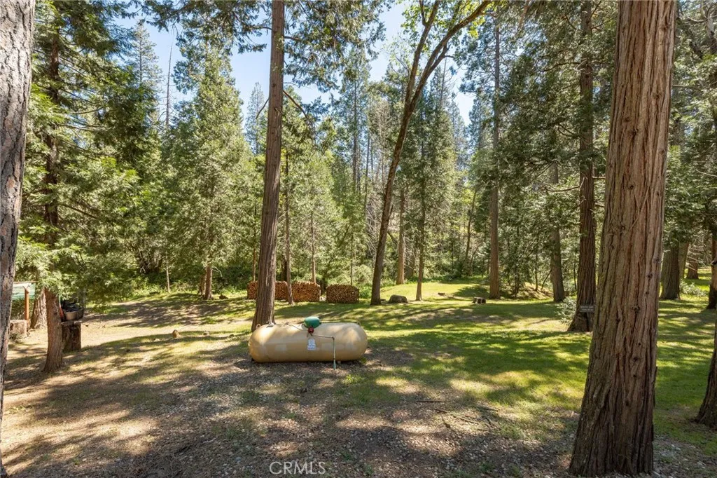 propane tank and large split wood piles