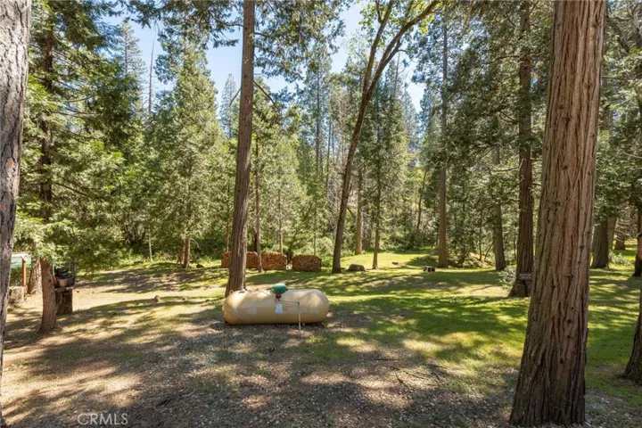 propane tank and large split wood piles