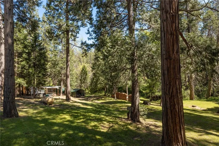 view towards chicken coop and carports