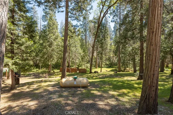 propane tank and large split wood piles