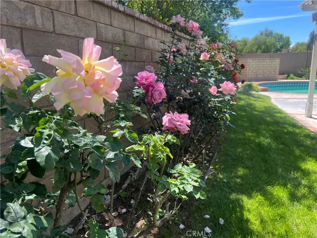 22932 Beech Creek, Valencia, California 91354
